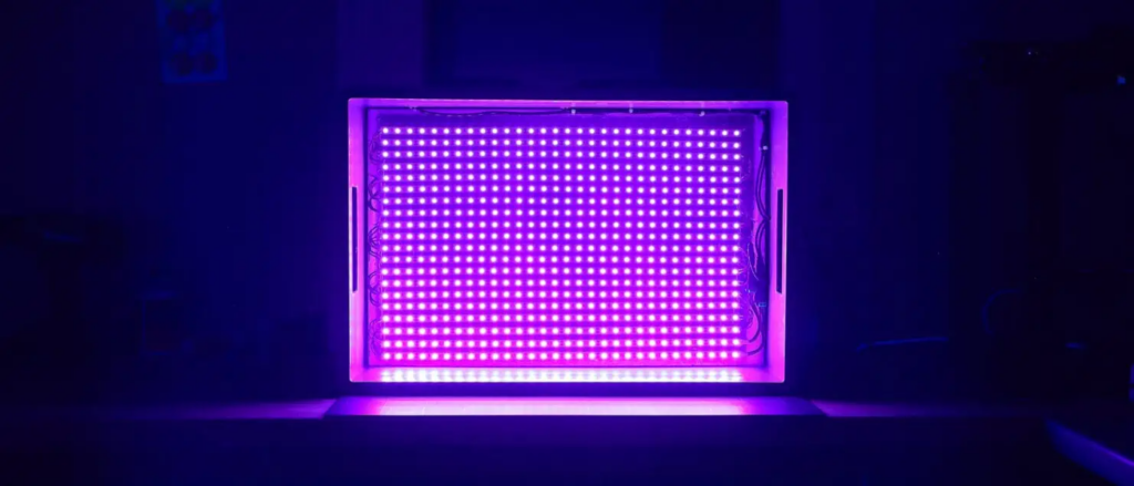 Inside the Technology of Nail Printing Machines: A Deep Dive into Innovation